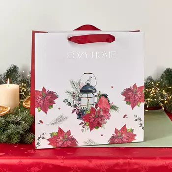 Пакет подарочный Снегирь 35х10х35