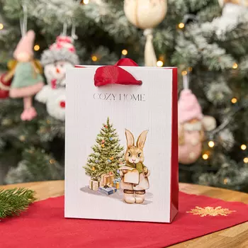 Пакет подарочный Зайчик 15х7х21