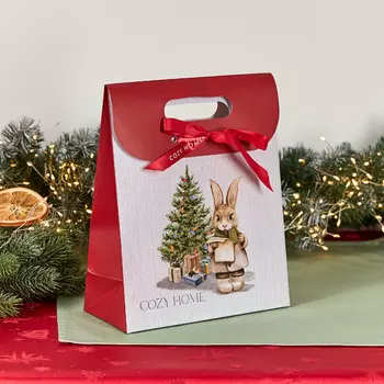 Пакет подарочный Зайчик 22х10х27