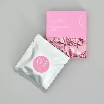 Рефилл для автодиффузора Кактус