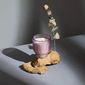 Свеча ароматическая Fig, 270 гр.