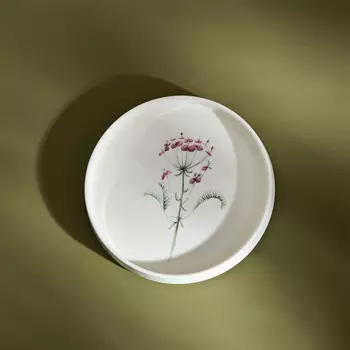 Тарелка Plantoni III