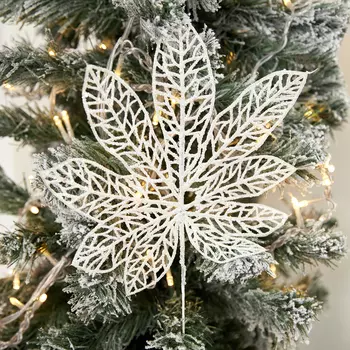 Ветвь Paoletti I