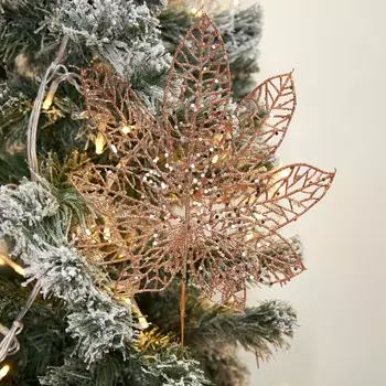 Ветвь Paoletti II