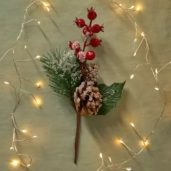 Ветвь Baca di Neve II