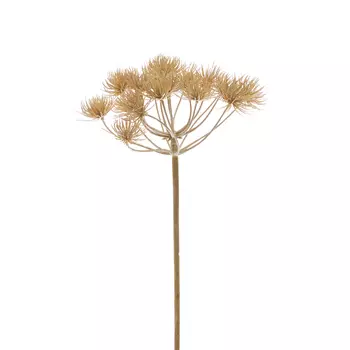 Ветвь Borenklau