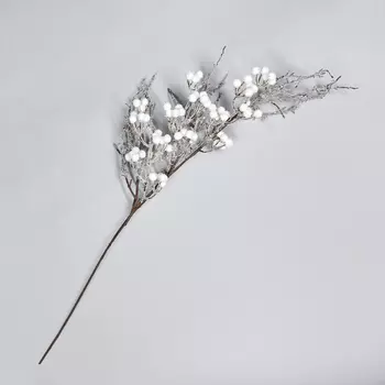 Ветвь Ramo di neve I