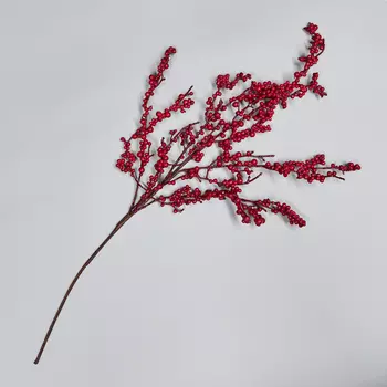 Ветвь Sorbo rosso II