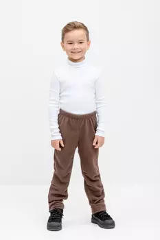 Брюки для мальчиков CROCKID, ФЛ 40000, цвет - коричневый