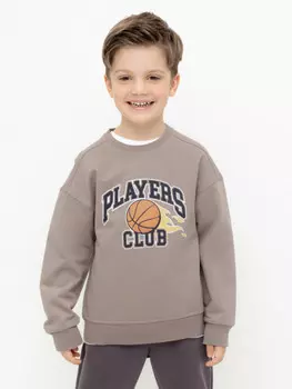 Джемпер для мальчика для мальчиков CROCKID, КР 302392, цвет - коричневый