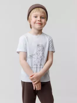 Футболка для мальчиков CROCKID, КП 302762, цвет - серый