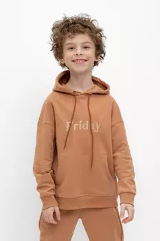 Худи с капюшоном для мальчика для мальчиков CROCKID, КР 302383, цвет - коричневый
