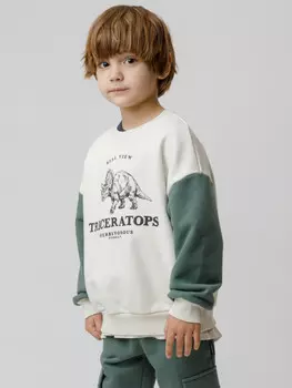 Свитшот для мальчика для мальчиков CROCKID, КР 302851, цвет - бежевый