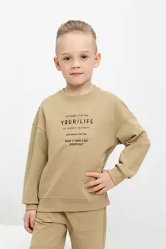 Свитшот для мальчика для мальчиков CROCKID, КР 302392, цвет - коричневый