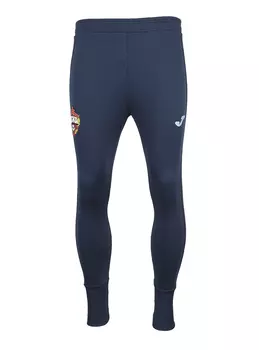 Брюки тренировочные (XL)