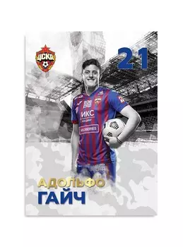 Карточка для автографа Гайч 2020/2021