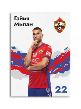 Карточка для автографа Гайич 2022/2023