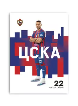 Карточка для автографа Гайич 2023/2024