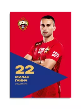 Карточка для автографа Гайич 2024/2025