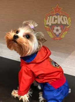 Комбинезон-плащ для собак ПФК ЦСКА (S)