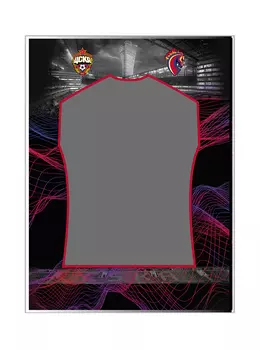 Оформление футболки в багетную рамку