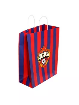 Пакет бумажный подарочный