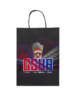 Пакет бумажный подарочный "ВЭБ Арена" (42х32х15 см)