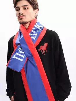 Шарф ДНК ЦСКА