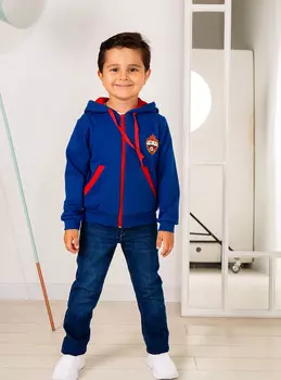 Толстовка детская "Эмблема" (110)