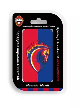 Внешний аккумулятор Талисман