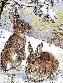 Картина по номерам «Кролики на снегу»