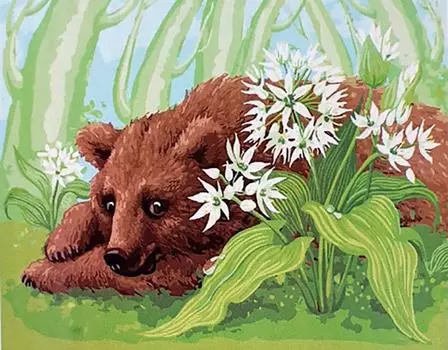Картина по номерам «Медвежонок»