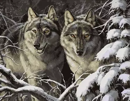 Картина по номерам «Волки»