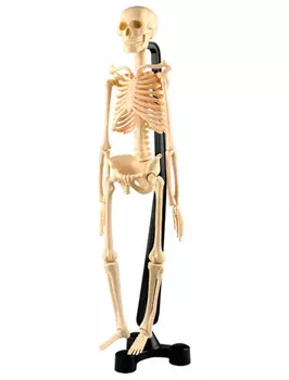 Игрушка развивающая EDU-TOYS