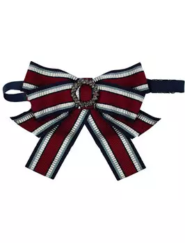 Бабочка Aletta