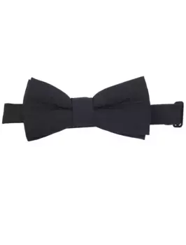 Бабочка Balmain