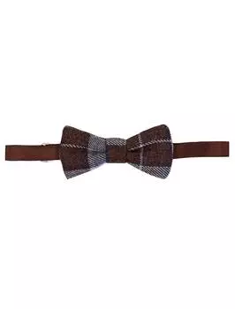 Бабочка Colorichiari