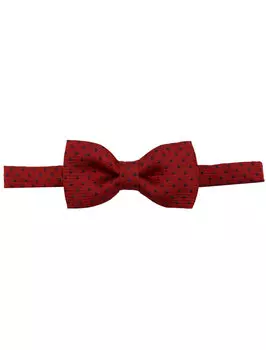 Бабочка Dal Lago