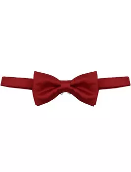 Бабочка Dal Lago