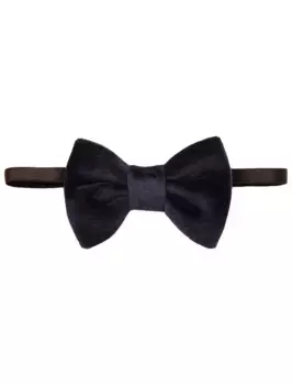 Бабочка Prairie