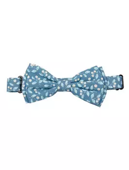 Бабочка Sergent Major