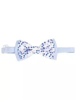 Бабочка Simonetta