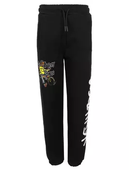 Брюки спортивные DISCLAIMER