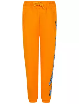 Брюки спортивные DISCLAIMER