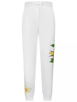 Брюки спортивные Dolce & Gabbana