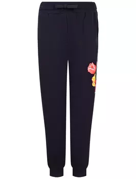 Брюки спортивные Dolce & Gabbana