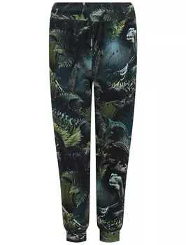 Брюки спортивные MOLO