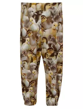 Брюки спортивные MOLO