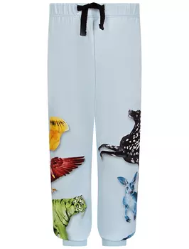 Брюки спортивные MOLO
