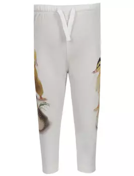 Брюки спортивные MOLO